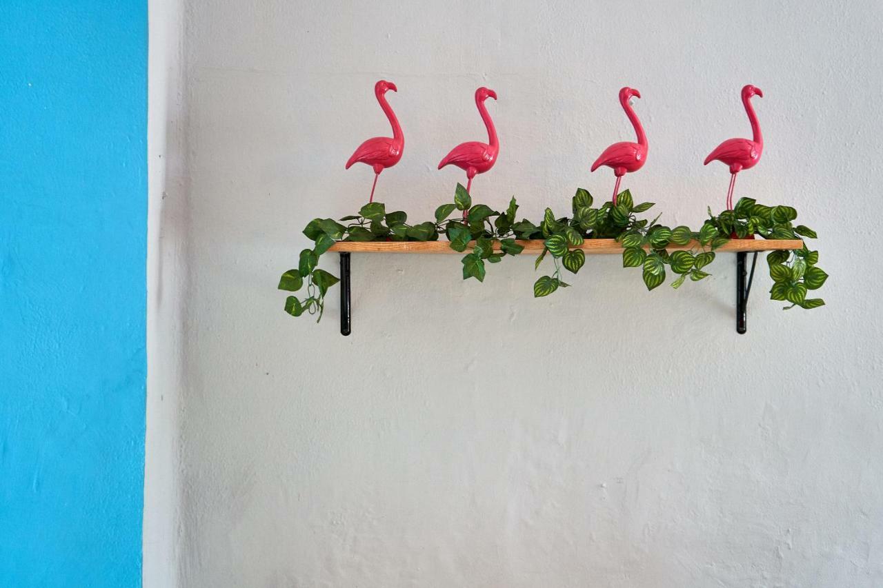 Hostal Americana Guadalajara Extérieur photo